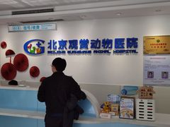 -北京观赏动物医院·24小时大型综合·猫专科·异宠专科