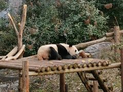 -黄记煌三汁焖锅(新世纪广场店)