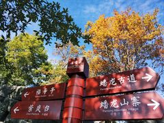 -塔云山