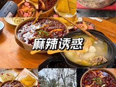 -青城甲(青城山店)