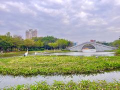 -映月湖公园
