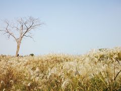-下渚湖国家湿地公园科普馆