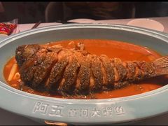 -阿五黄河大鲤鱼(英协路店)