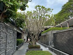 -明谷行馆·温泉