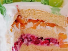 -今日·TODAY手作低脂动物奶油蛋糕定制(高新万达店)