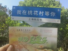 -南汇桃花村