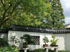-上海醉白池公园