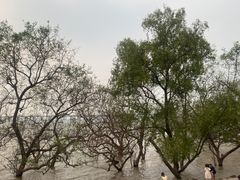 -深圳湾公园(南山区)