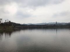 -枫香湖儿童公园