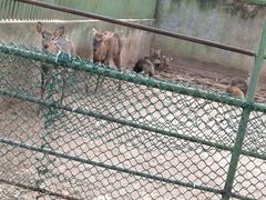 -广东茂名森林公园