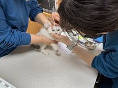 -联合动物医院(光谷诊疗中心)
