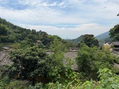 -杨家堂村
