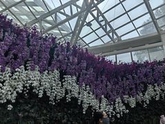 -石家庄市植物园