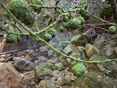 -牛鱼嘴原始生态风景区