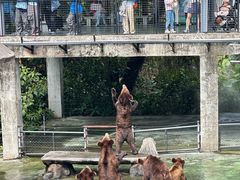 -深圳野生动物园