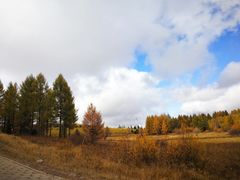 -塞罕坝国家级自然保护区