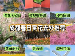 -望江楼公园