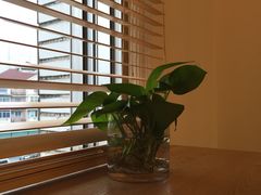 -真我樣照相馆·身份证·证件照·外拍(环球港店)