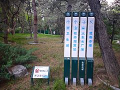 -玲珑塔公园