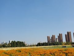 -映月湖中央公园