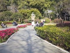 -徐家汇源景区-衡山公园