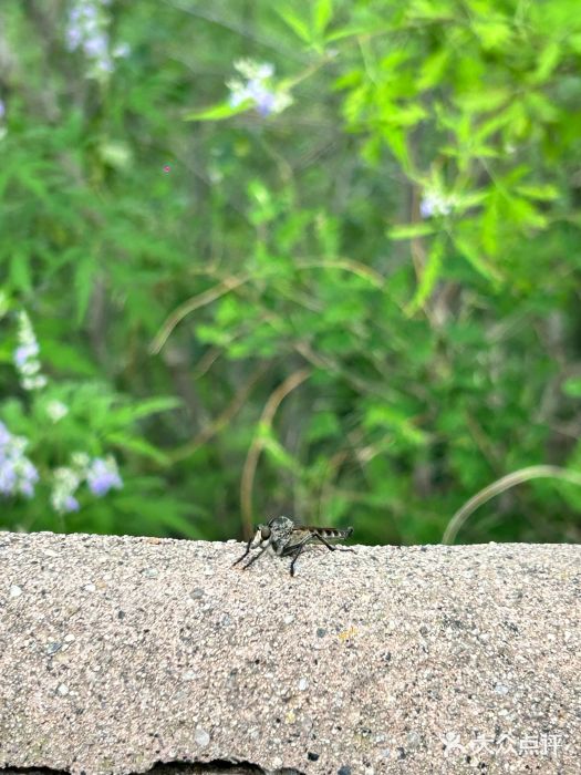 易水湖景区图片
