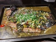 -晓鲜熊猫烤鱼烤吧(西三旗百汇北门店)