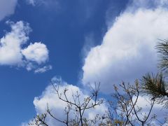 -北京十三陵国家森林公园蟒山景区