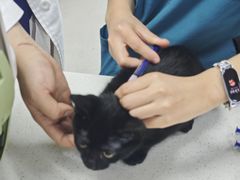 -联合动物医院(光谷诊疗中心)