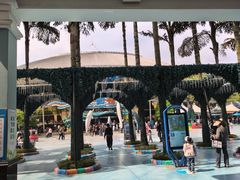 -海合安成都极地海洋公园