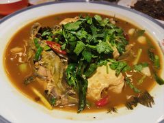 -杨氏青龙虾·羊蝎子(托乐嘉店)