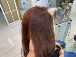 -潘多拉Hairsalon