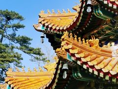 -香山公园