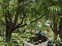 -名花谷生态庄园