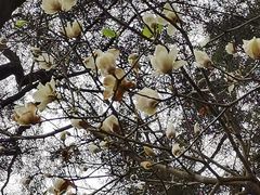 -桃花涧