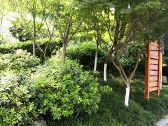 -龙头寺公园