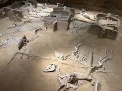 -洛阳周王城天子驾六博物馆