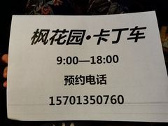 -枫花园汽车电影院(朝阳公园店)