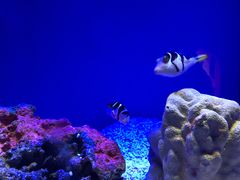 -上海海洋水族馆