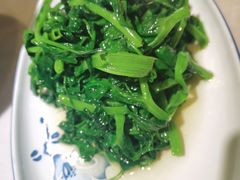 豌豆尖-金悦印象小馆(三里河店)