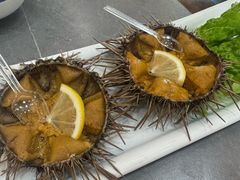 海胆-日月明小渔村•海肠捞饭•大连海鲜(星海广场店)