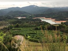 -中旅阿那亚九龙湖·公主酒店