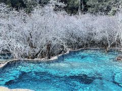 -黄龙山原始森林景区