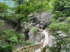 -洛阳白云山景区