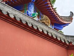 -黔灵山公园