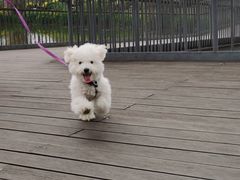 -白鹭湾湿地公园