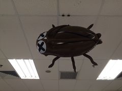 -AEON永旺(东方宝泰店)