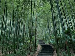 -南山风景名胜区