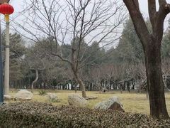 -长辛店二七公园