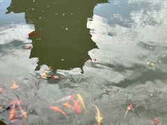 -圆通寺